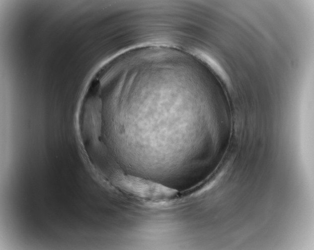 X0000088380944200706051057