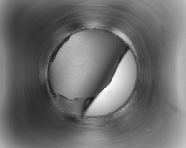 X0000088380946200706051057