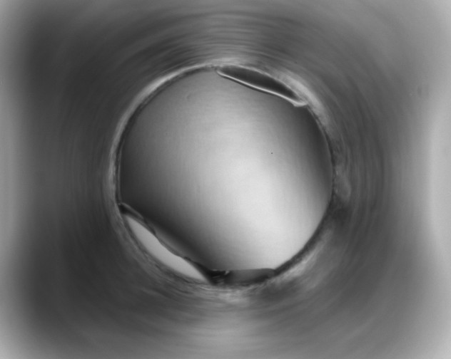 X0000088380948200706051057