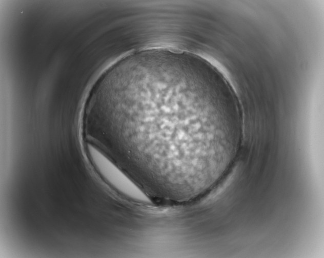 X0000088380949200706051057