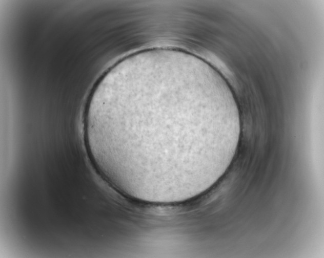 X0000088380950200706051057
