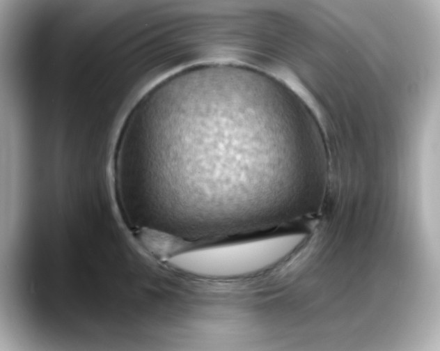 X0000088380951200706051057