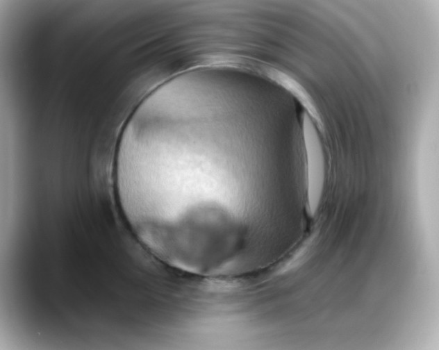 X0000088380954200706051057