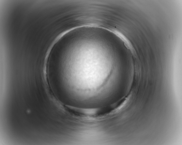 X0000088380956200706051057