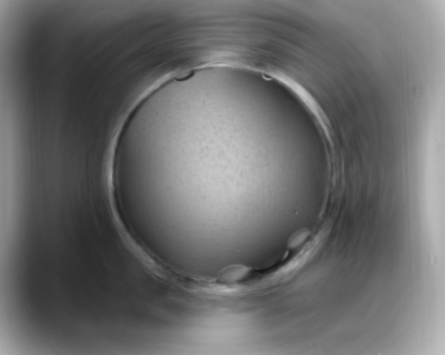 X0000088380957200706051057