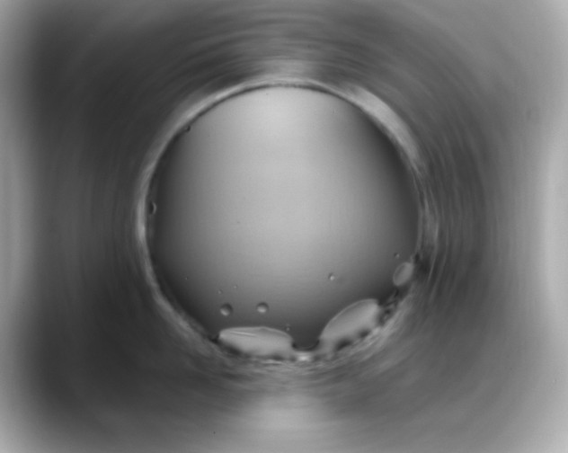 X0000088380958200706051057