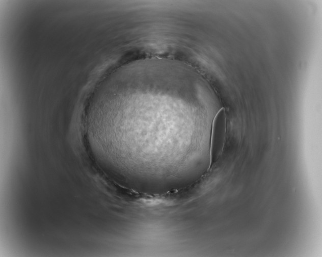 X0000088380961200706051056