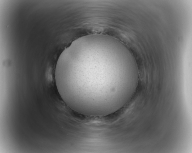 X0000088380962200706051056