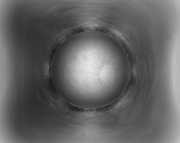 X0000088380964200706051056