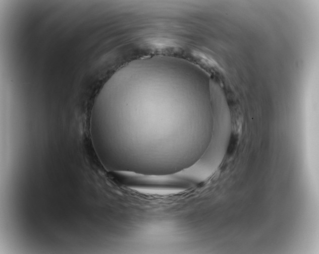 X0000088380965200706051056