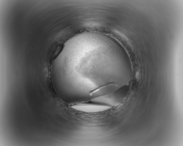 X0000088380966200706051056