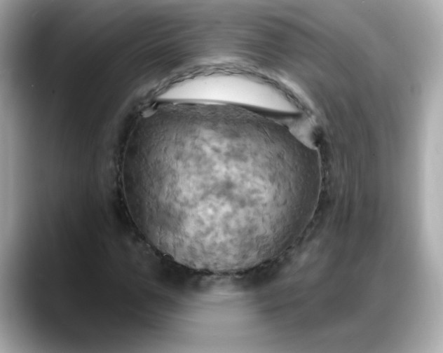 X0000088380967200706051056