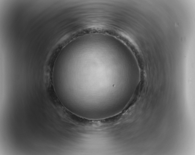 X0000088380968200706051056