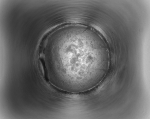X0000088380971200706051056