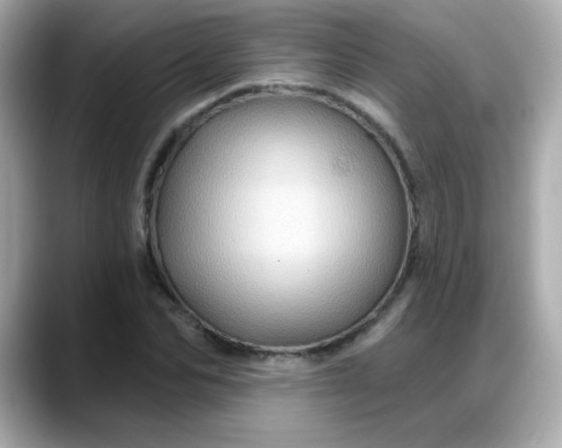 X0000088380974200706051056