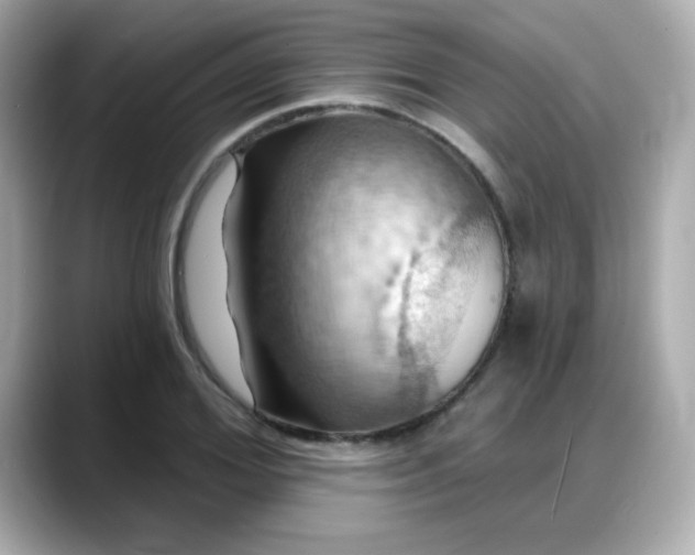 X0000088380980200706051056