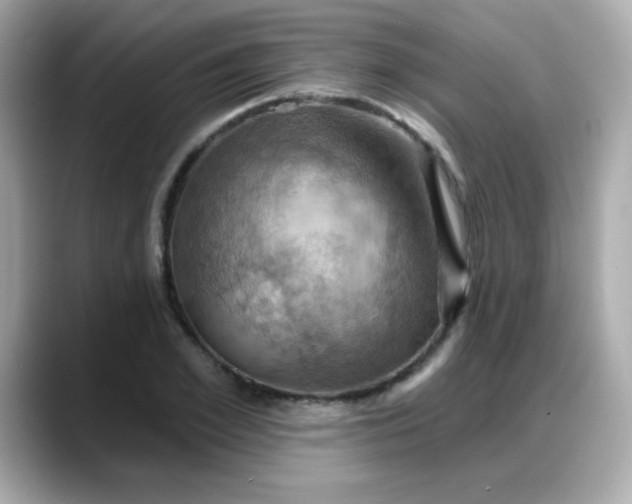 X0000088380981200706051056