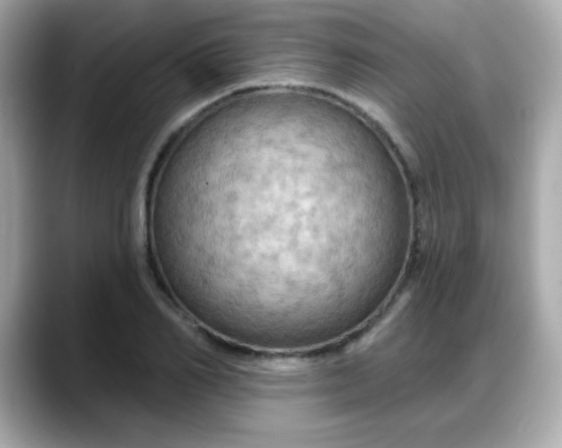 X0000088380982200706051056