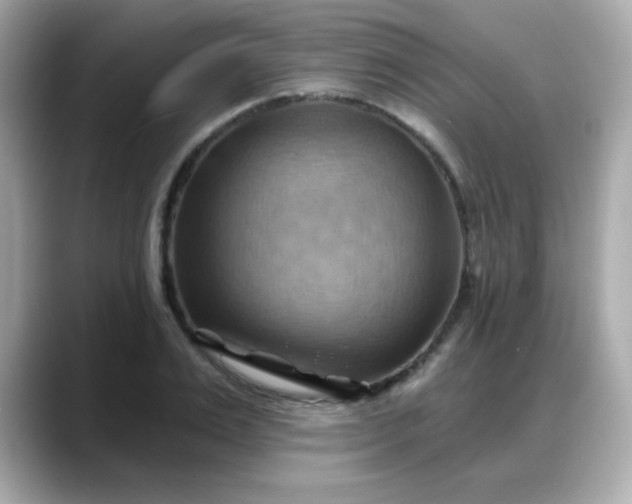 X0000088380983200706051056
