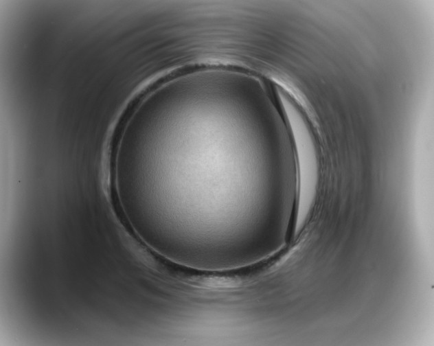 X0000088380984200706051056