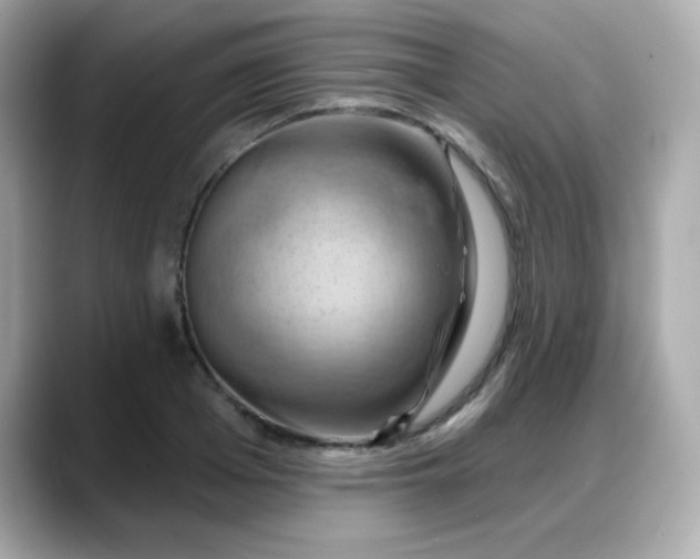 X0000088380985200706051056