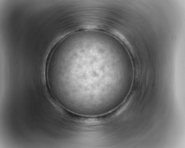 X0000088380986200706051056