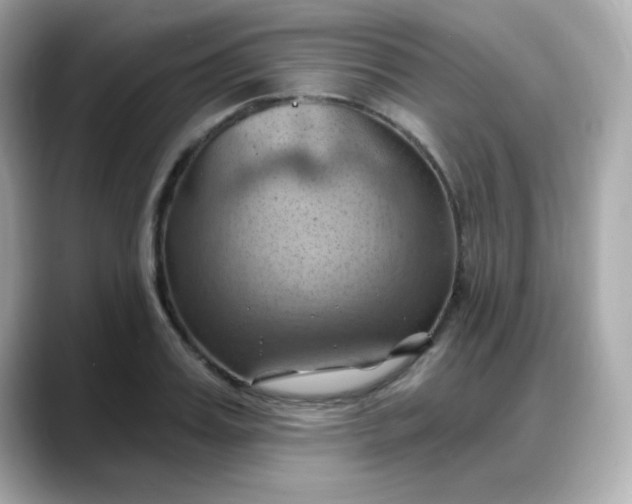 X0000088380987200706051056
