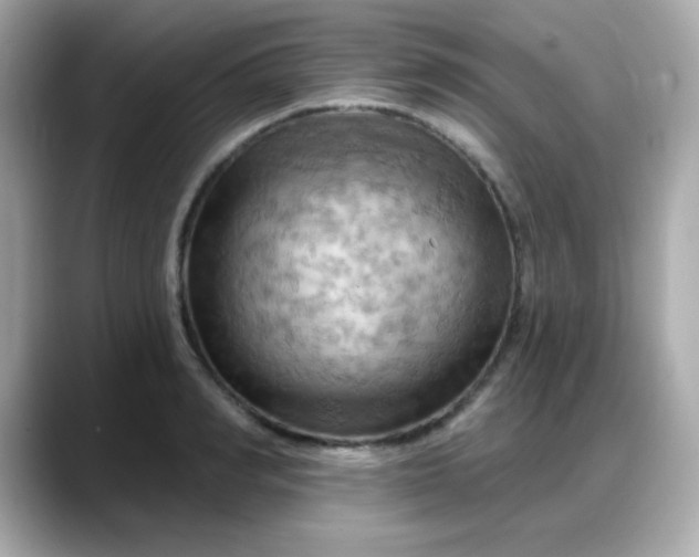 X0000088380990200706051056