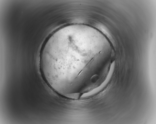 X0000088380992200706051056