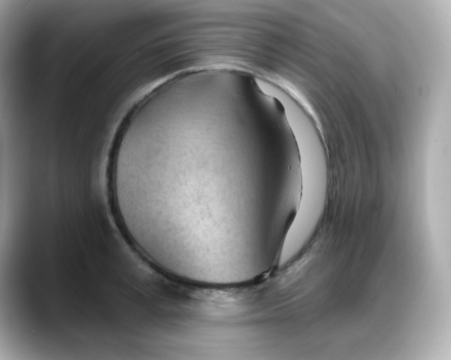 X0000088380995200706051056