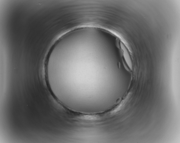 X0000088380998200706051056