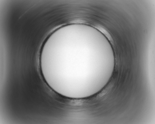 X0000088381000200706051056