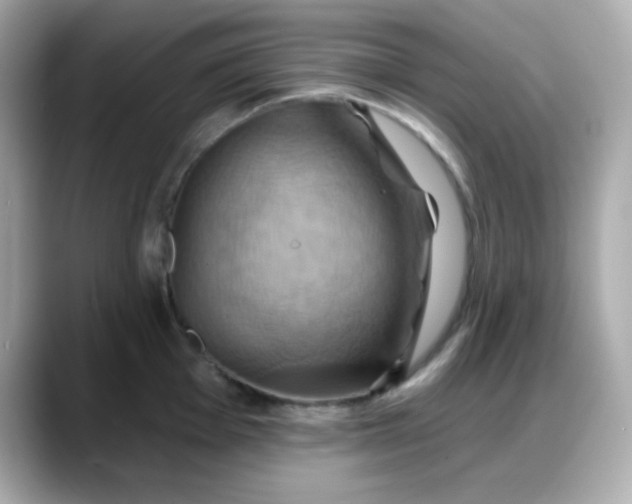 X0000088381001200706051056