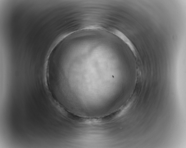 X0000088381002200706051056