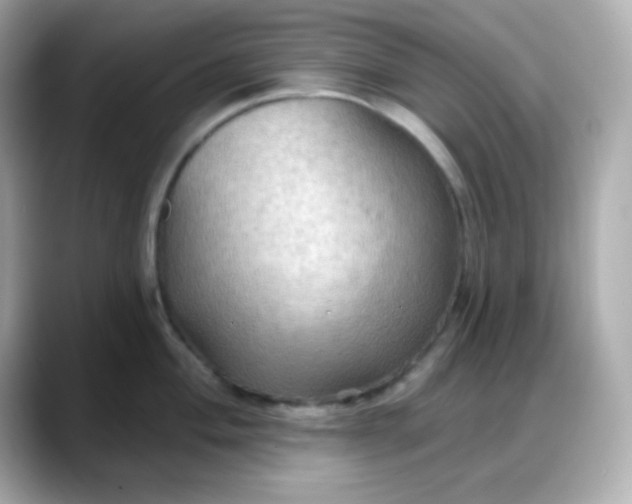 X0000088381004200706051056