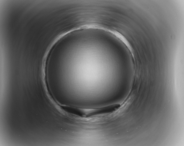 X0000088381005200706051056