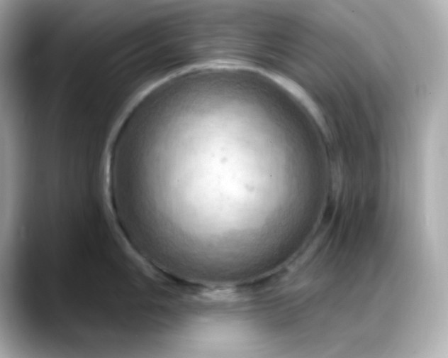 X0000088381006200706051056