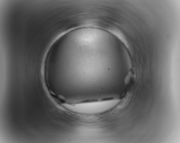 X0000088381007200706051056
