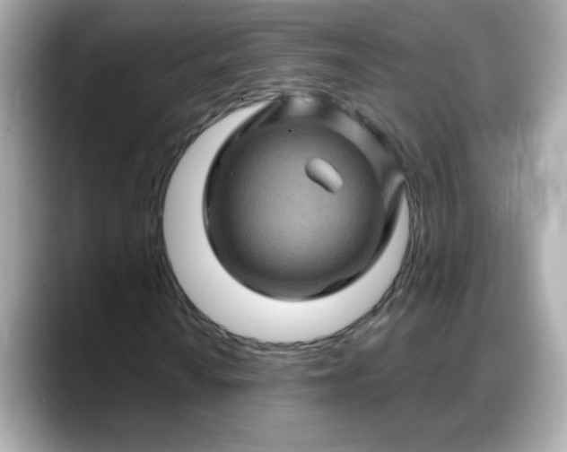 X0000088381010200706051055
