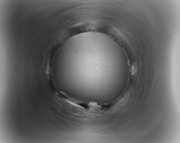 X0000088381011200706051055
