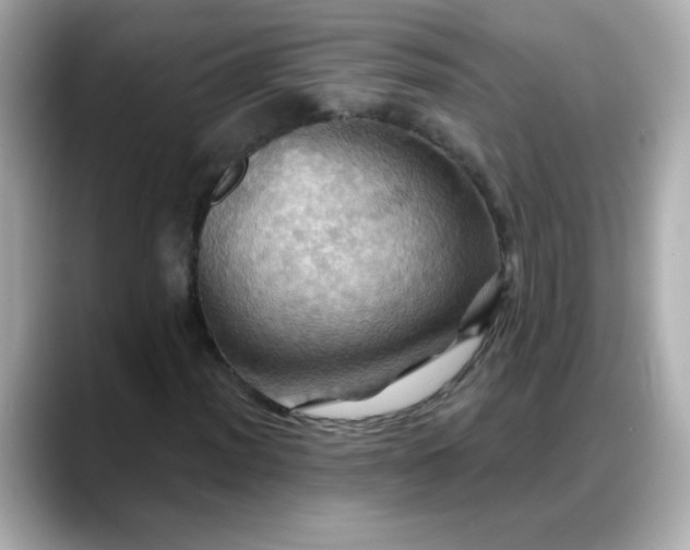 X0000088381012200706051055