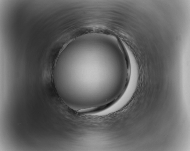 X0000088381014200706051055