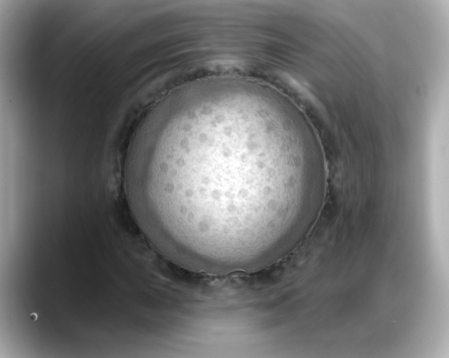 X0000088381015200706051055