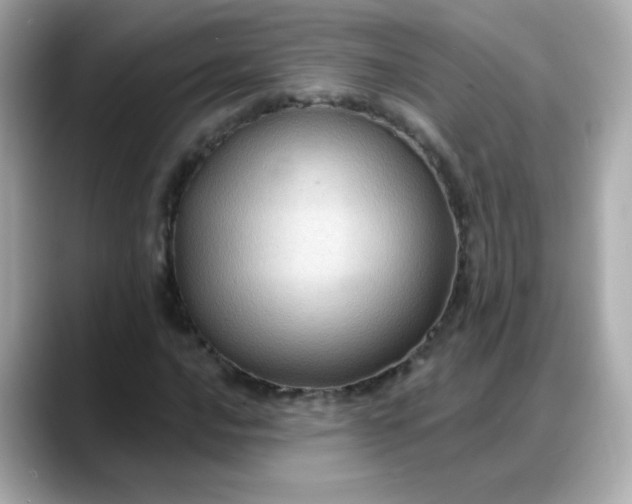 X0000088381016200706051055
