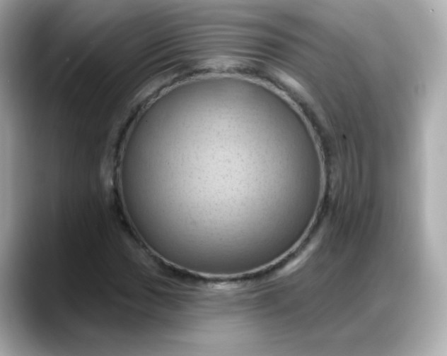 X0000088381017200706051055