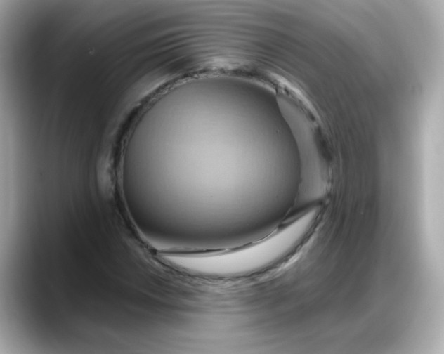 X0000088381018200706051055