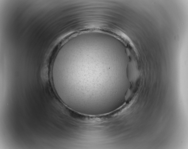 X0000088381019200706051055