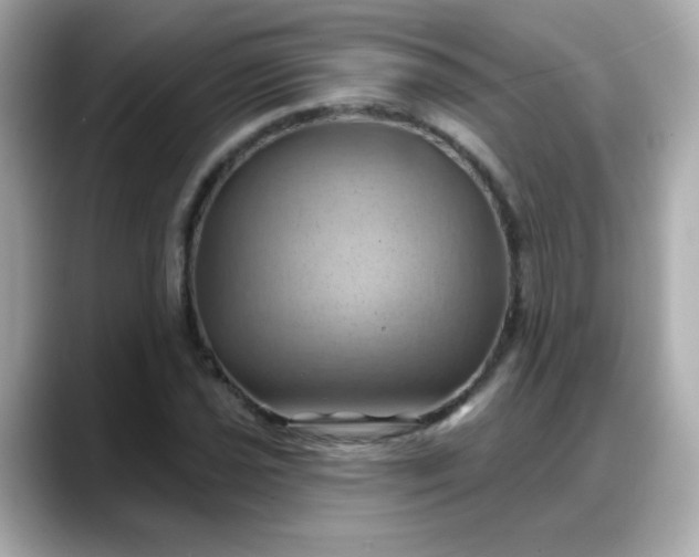 X0000088381021200706051056