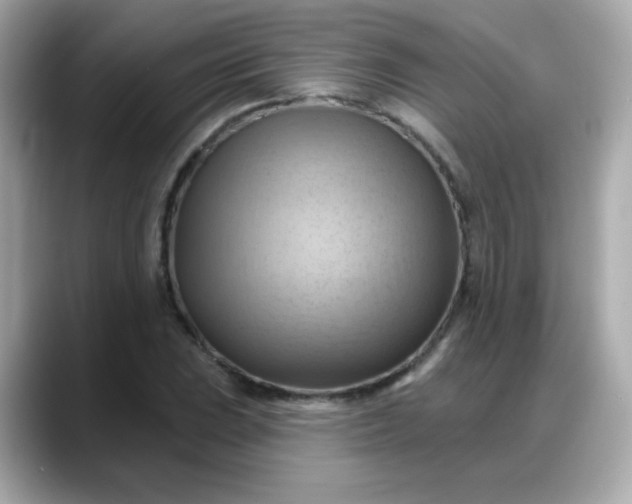 X0000088381023200706051056
