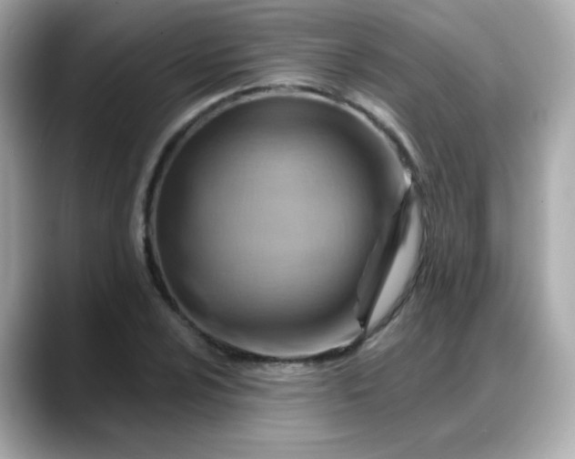 X0000088381024200706051056